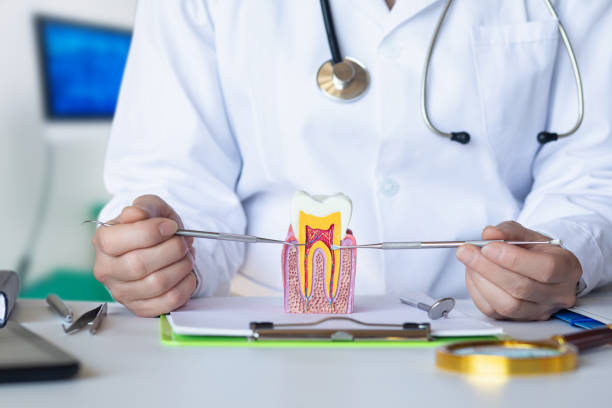 Best Emergency Treatment for Toothache in Olivarez, TX